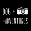 Dog Camera Adventures Throw Pillow Official Photographer Merch