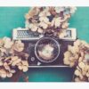 Camera & Hydrangea Tapestry Official Photographer Merch